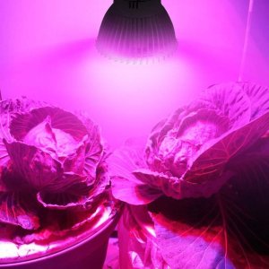 7 W - PROFI LED GROW žiarovka pre všetky rastliny, E27, High-power+, ružovo-modrá 